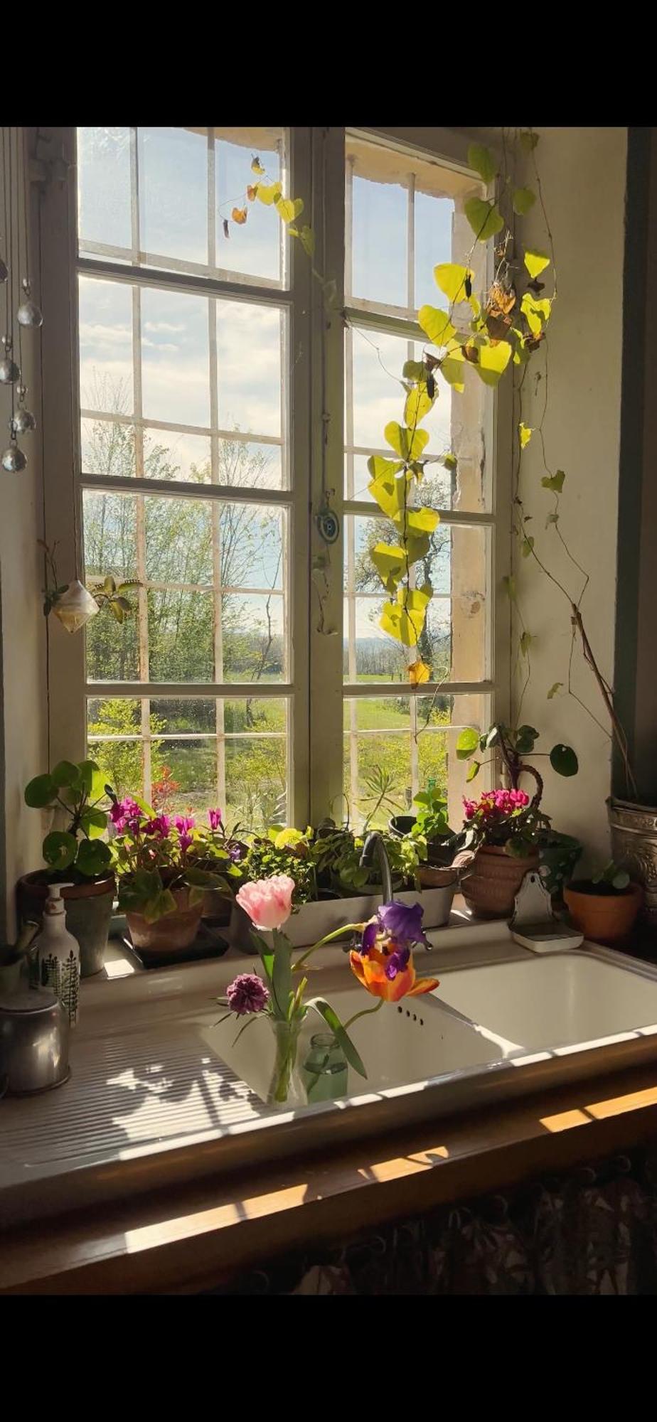 B&B Ostria Vento Medesano Eksteriør bilde